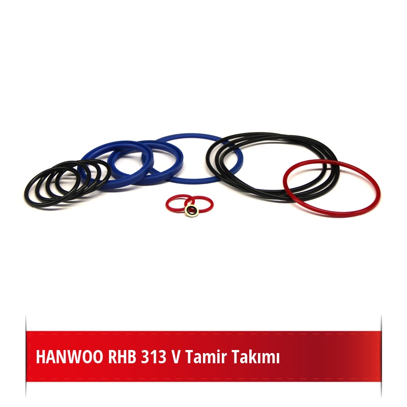 Hanwoo RHB 313V Tamir Takımı